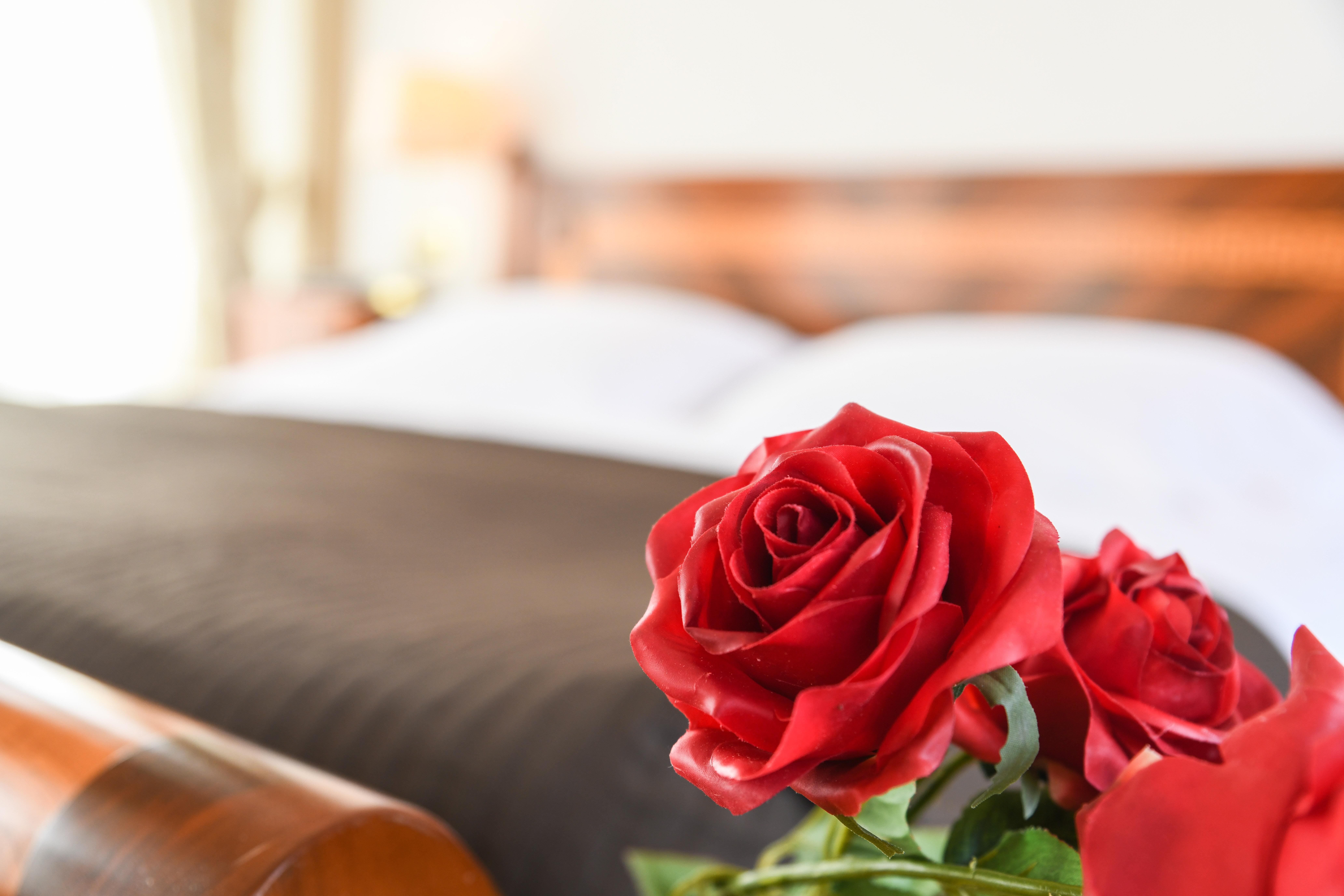 Hotel Vittoria Brescia Exteriör bild A red rose